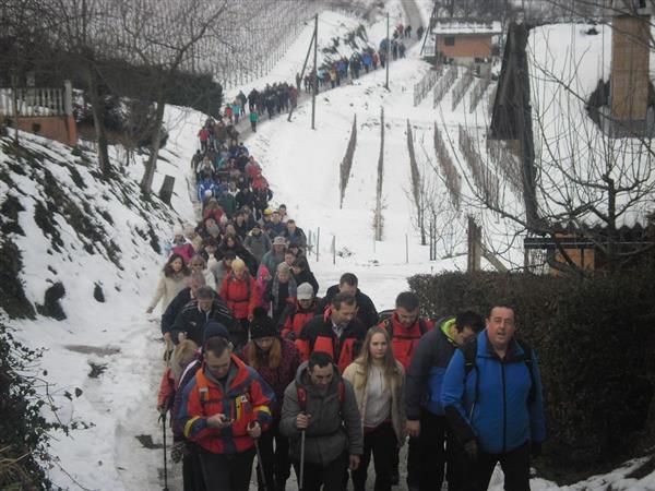 Pješačenja u organizaciji DŠR Lančić-Knapić (2011. – 2018.)